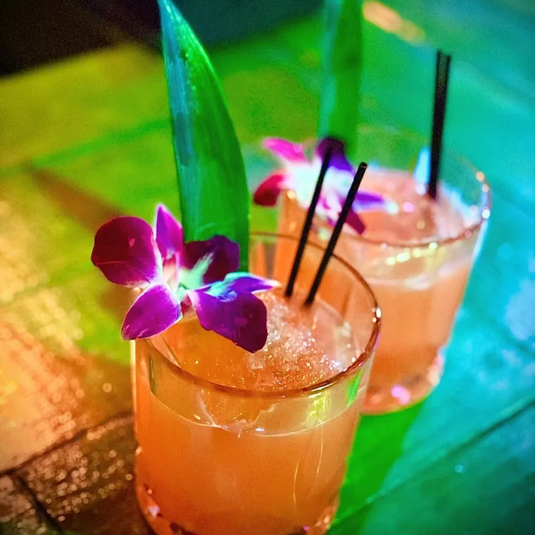 Two rum cocktails garnished with orchids and pineapple fronds side by side